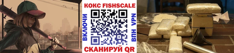 где можно купить   Инза  КОКАИН Fish Scale 