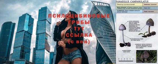 первитин Волосово