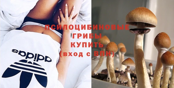 скорость mdpv Вяземский