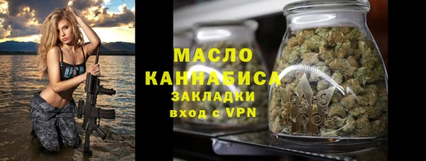 индика Бронницы