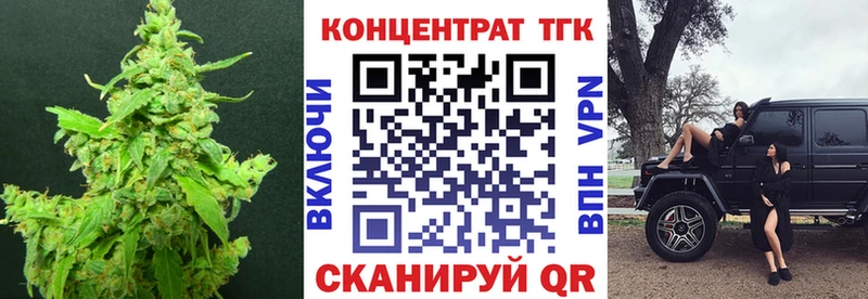 закладка  Инза  ТГК концентрат 