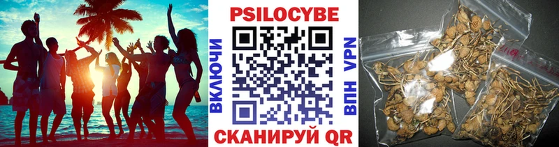 Псилоцибиновые грибы Psilocybe  как найти закладки  hydra ссылки  shop Telegram  Инза 